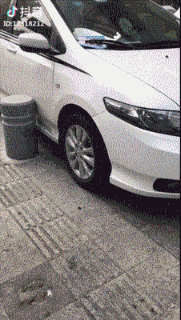 e716cbec9aa778ffcd6ec30af628b599.gif