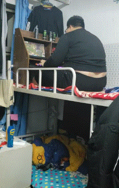t01803515b38c3870e5.gif