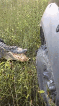 t01da031310ae96e45d.gif