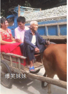 t01bf18c98e6a6649ce.gif