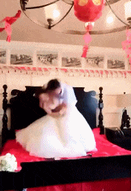 t0147367588b801f348.gif