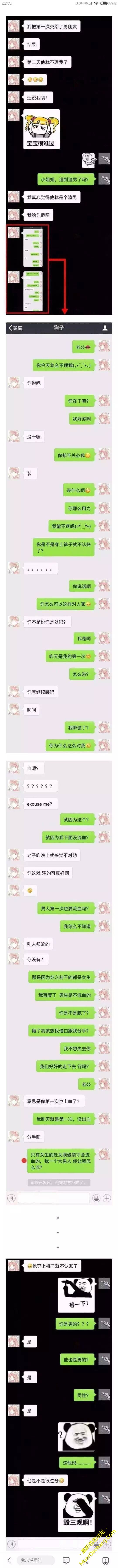 1512054.jpg