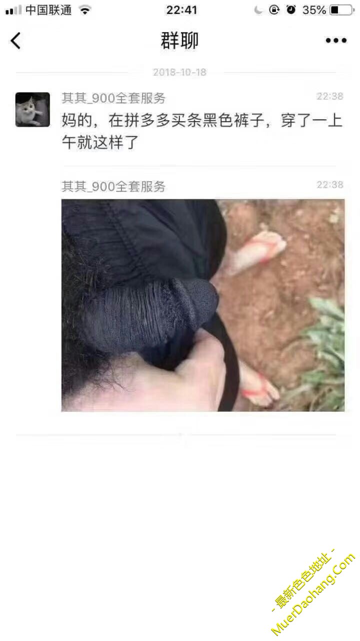 15115557.jpg