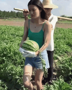 t01594f0e0cc425eaf0.gif