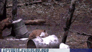 fb71bde202ea06c5616b5efe15b59fd5.gif