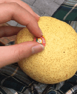 ecdf313911b04089ba81379122f92579.gif
