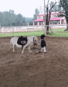 65722680f2fe462d911048c77fc090ab.gif