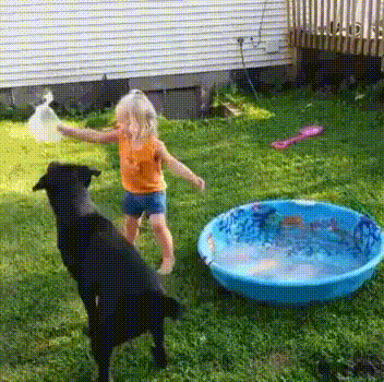 t01a8a21a3cad84a003.gif