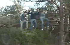 t016ea9ec90475c3004.gif