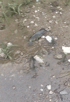 b3b3c307008d64fccb3c0935bfaa8f34.gif