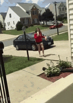 t0178785987d5f2afc8.gif