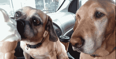 t0158cc0be4affd3557.gif