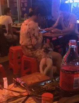 t0175144dc8fd200bcd.gif