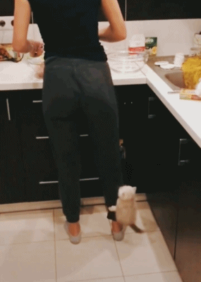 7ee5b98aedf09645edf0cfbdaf72b4ca.gif