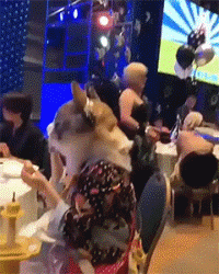 73d96adc3c6beb6e0fada1d5fe3bd89e.gif