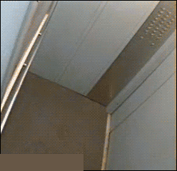 t01a2d18b3a47c9b44f.gif