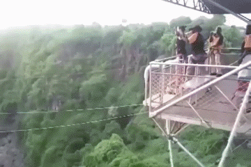 208d351b953083ab8e8249f51c700cef.gif