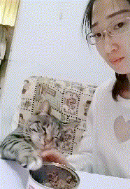 a1ba911411b368924c08a02a3eee35bd.gif