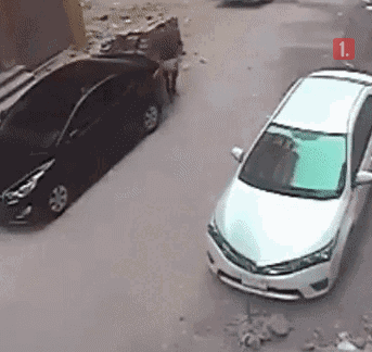 t0150c2bdfd32ee62c0.gif