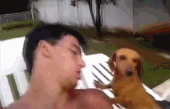 20271122.gif