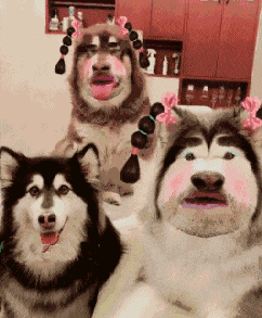 t01dfc7ad792be52b49.gif