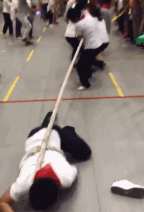 t01e5304852cd59163b.gif