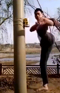 t01ab193589c1f0d9fd.gif