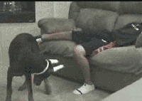t01399806ef130658a9.gif