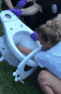 t01f1a249ffd2506055.gif