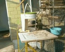 e0db869f12aaf01f33bad9444c2ca638.gif