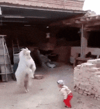 t01c40182cc5a6f38f5.gif