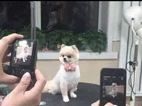 459fbedaf3a528f863a8e2bc1fbfbebd.gif