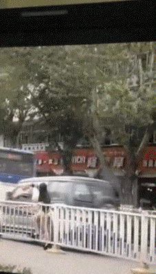 560cc53ad0ba462795aee4d8fb29ca5b.gif
