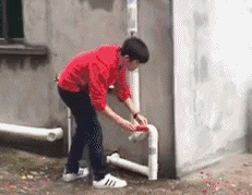 t01939e408803e86777.gif