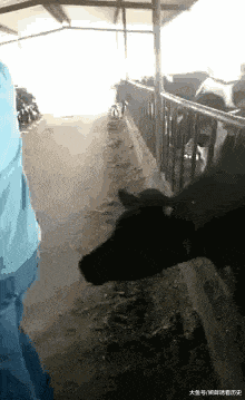 587bbb42d5b34067a32a26f81f549b55.gif