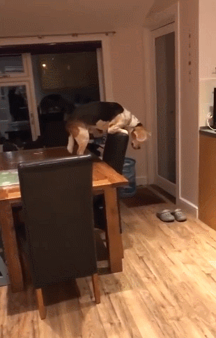 f71a9e09fee2949362e920dfd4f831c3.gif