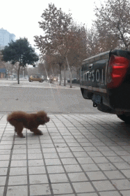 71da396ccc4c91a65995c42a521da7f1.gif