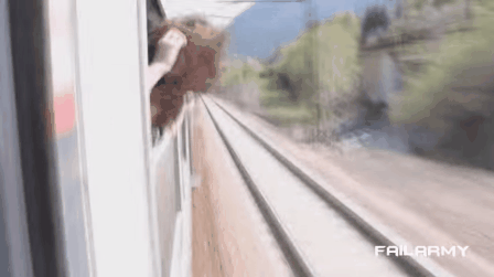 4fa8076dac49b9c952d31691496f01c5.gif