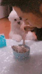 1895922bde2243cfa588a3543805890c.gif