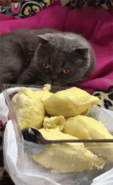 61157c0b07c44781bdf68a8407376df8.gif