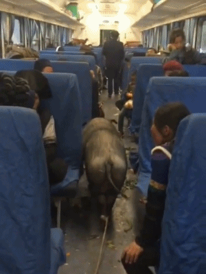 5652b5529dd6b553f89298d278a2abee.gif