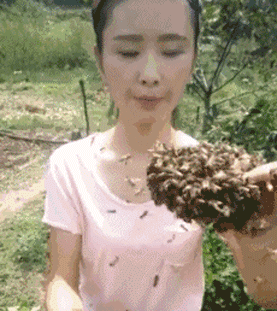 b74b8cae10cc429abf1150ba1834bf09.gif