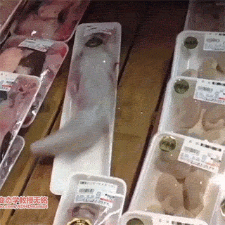 cfabc168ae70eaaaa4da6db05787f14a.gif
