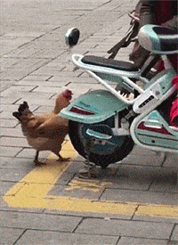 c34bc0acebd54650ba8e210f81afb3fe.gif
