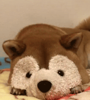21ed0bc3fe784f53aeac90d874540dfb.gif