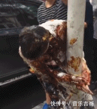 t01cff04e8f34eff210.gif
