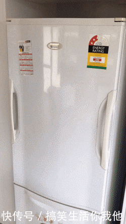 t01811760a4e8eee490.gif