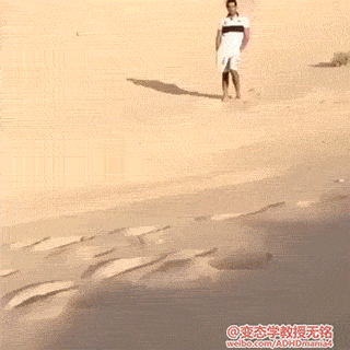 361c27a6a6e67b607e0cb7d66a9ba903.gif