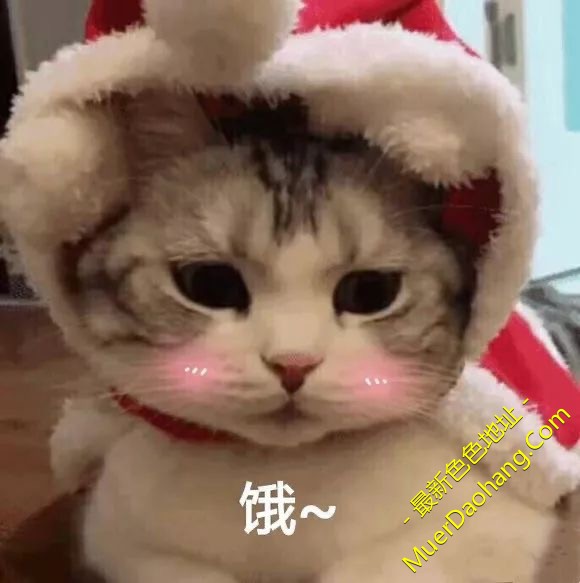 3EA56ADF-5A1B-431B-8568-795E03151454.jpeg