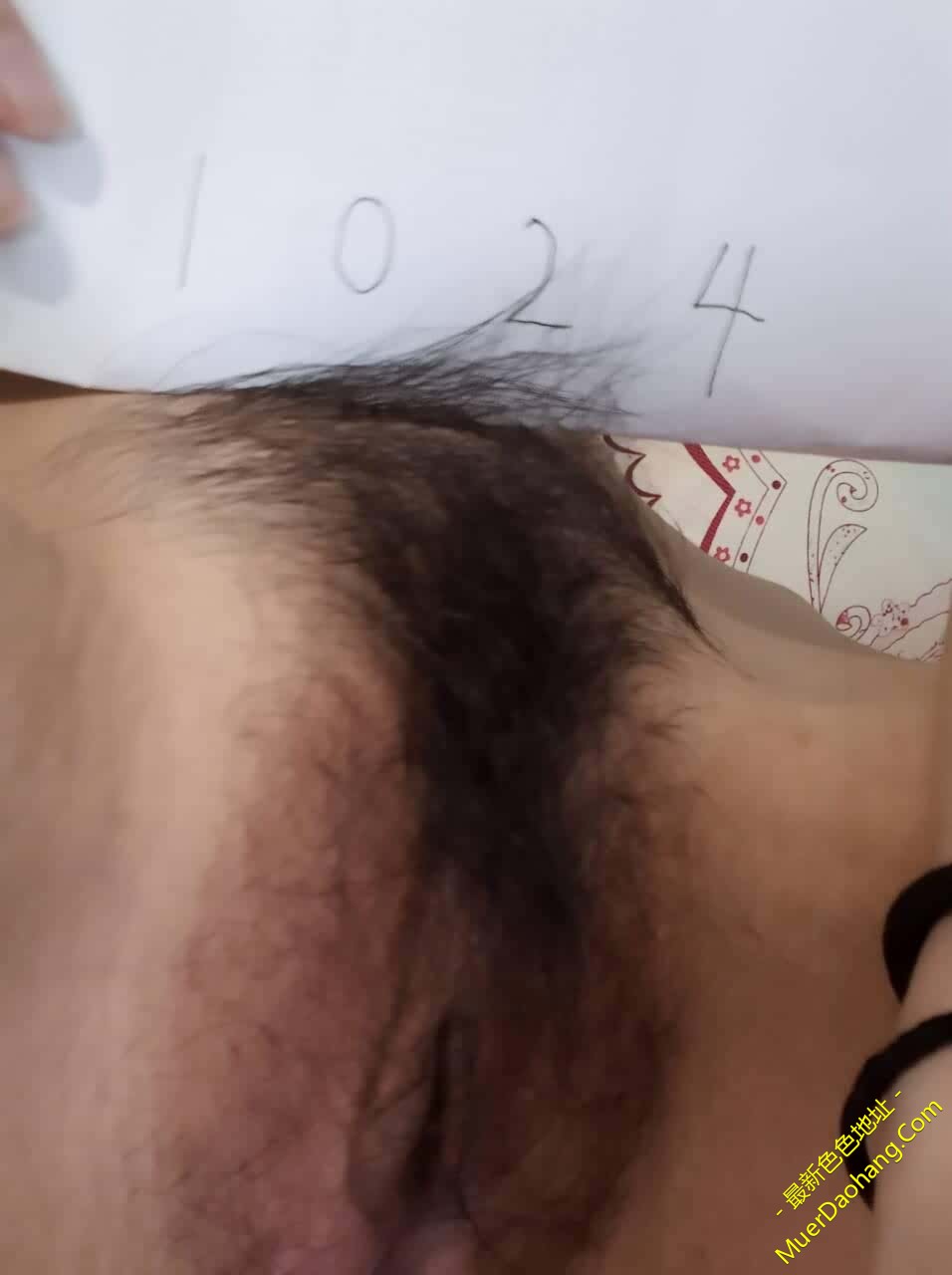 ia_7400000009.jpg